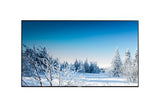 PHILIPS afficheur professionnel 75" 75BDL4510D/00 UHD 24/7