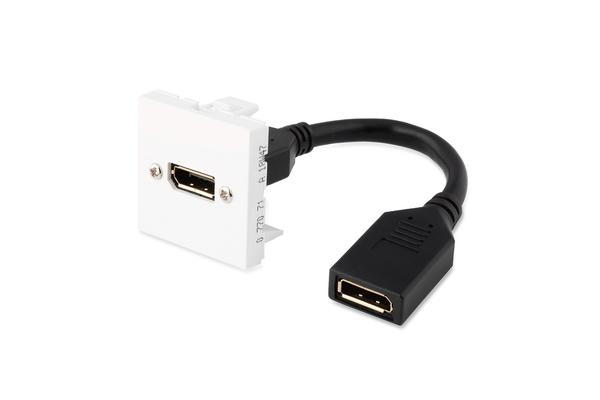 4y Poly+Edge E350 Svc