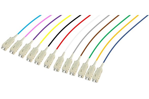 PIGTAIL OM4 SC/UPC LSOH 12 CONNECTEURS 2m