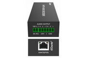 ALTIMIUM ALT-D2AUD - Décodeur DANTE Audio Analogique 2 canaux avec PoE