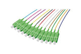 Lot de pigtails OS2 G652D SC-APC 900µm 12 couleurs 2m