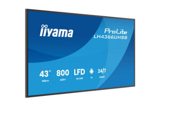 43" 3840x2160 UHD VA VESA Mount 300x300