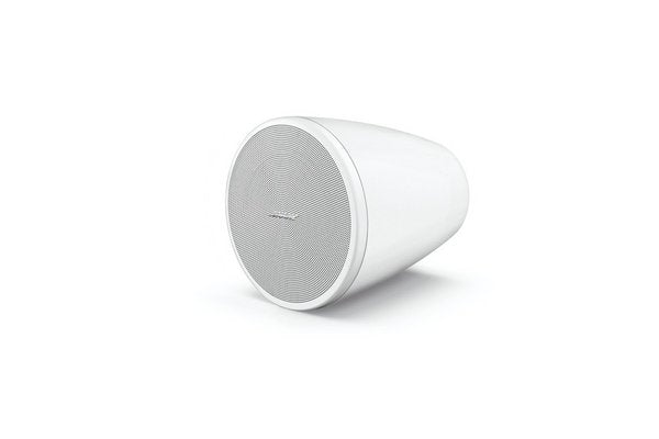 BOSE PRO Enceinte DesignMax DM3P Blanc - La Paire