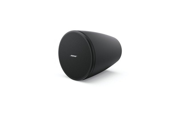 BOSE PRO Enceinte DesignMax DM3P Noir - La Paire