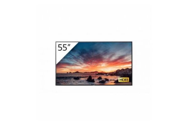 SONY- Afficheur professionnel 55" FWD-55X81H/T1