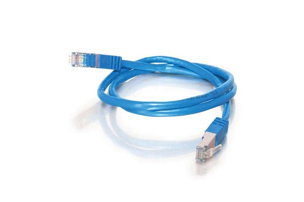 RARITAN CSCSPCS-1 Cordon 30cm Cat5e Cable RJ45 Male-Male pour Dominion SX