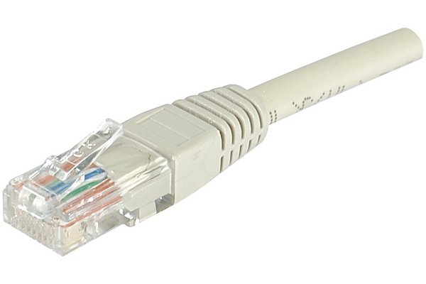 Cordon RJ45 catégorie 6 U/UTP gris - 5 m