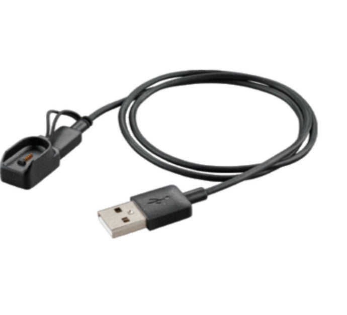 POLY Voyager Legend Cordon USB avec socle chargeur