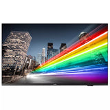 PHILIPS- Afficheur professionnel 55   55BFL2214/12