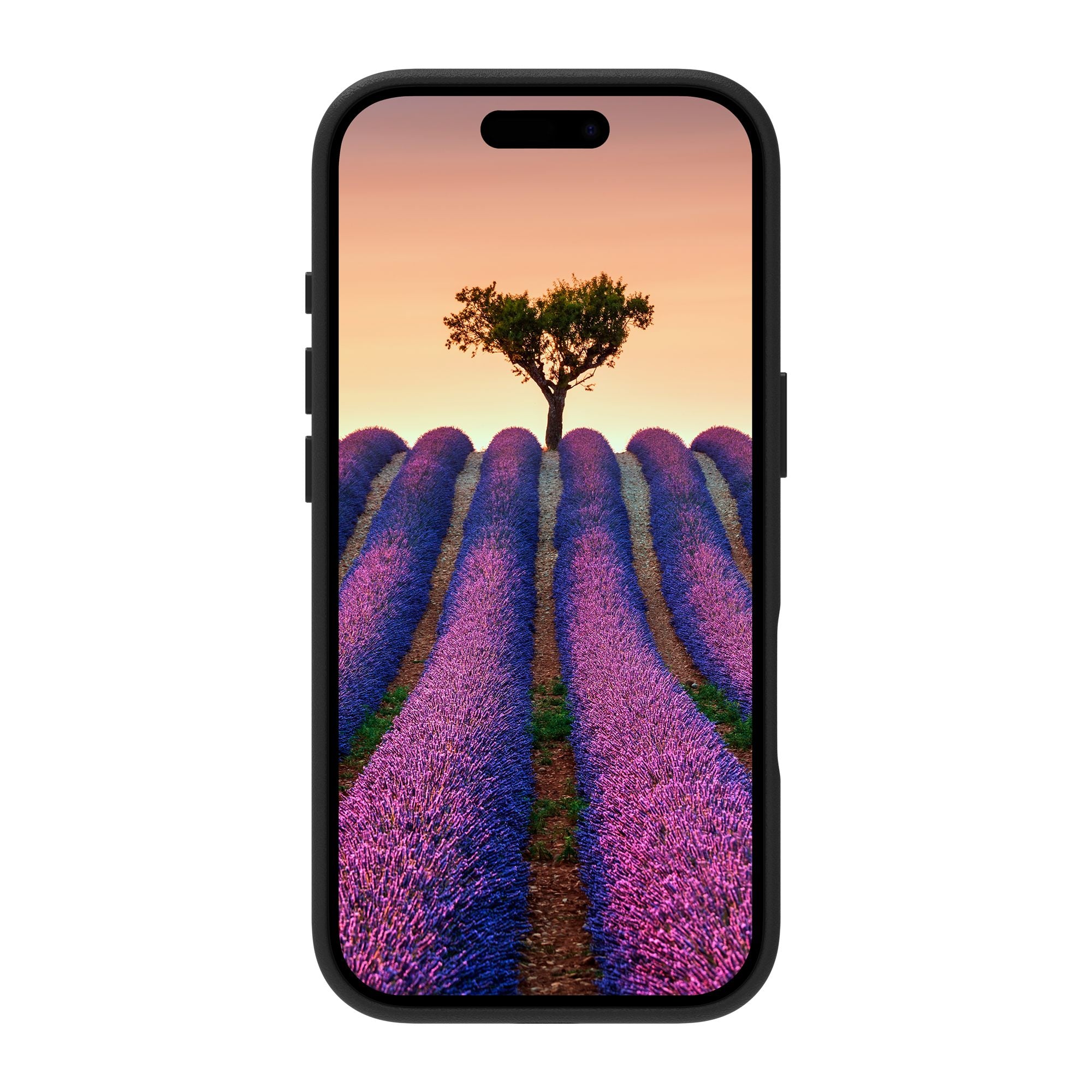 Roskilde MS iPhone 17 BLK
