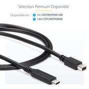 Cable USB C to Mini DisplayPort 6 ft