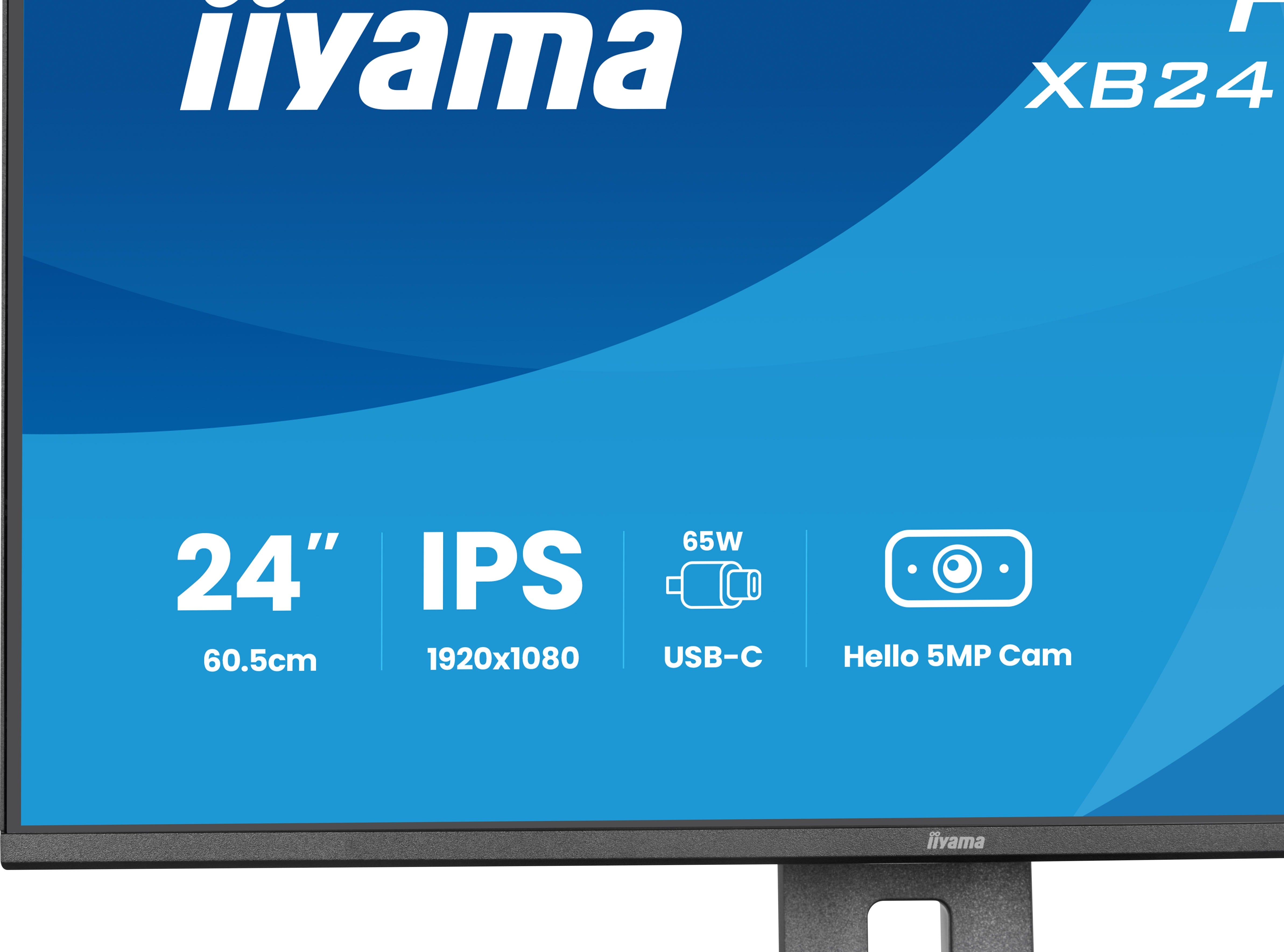24""W LCD Business Full HD IPS USB-C