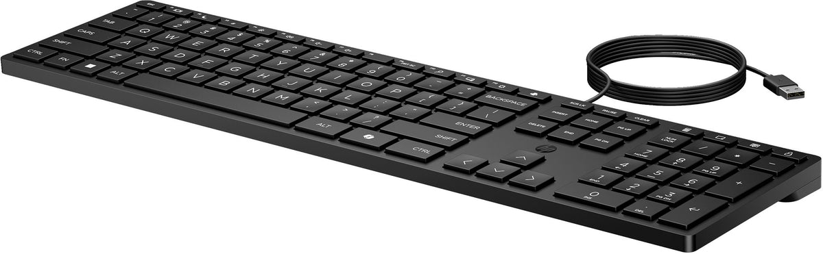 HP 320K Wired Keyboard SmartBuy (EN)
