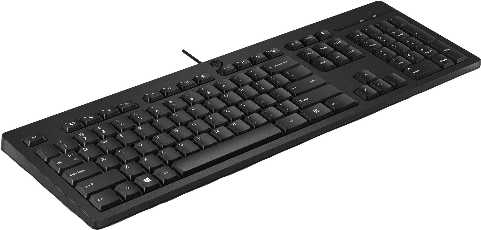 HP 125 G2 USB WD KBD Bulk
