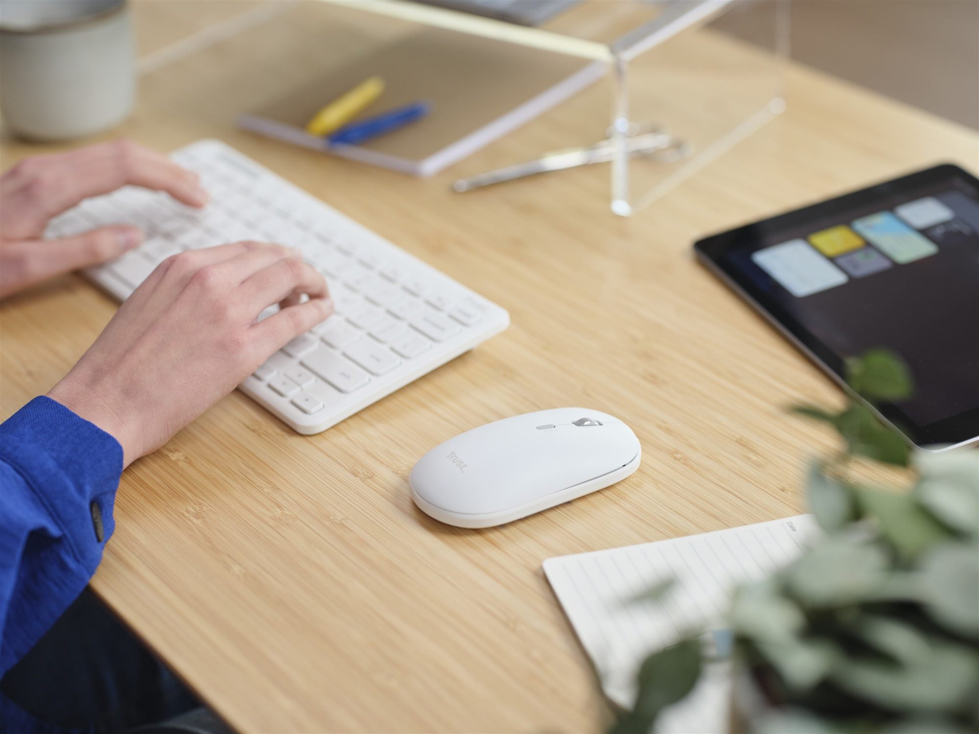 TRUST Pack clavier & souris sans fil LYRA Bluetooth - blanc (FR)