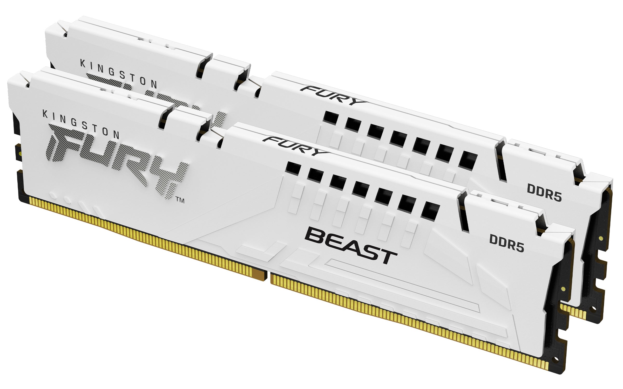 KINGSTON FURY Beast 64Go DIMM DDR5 5600MT/s DDR5 CL36 Kit of 2 White EXPO