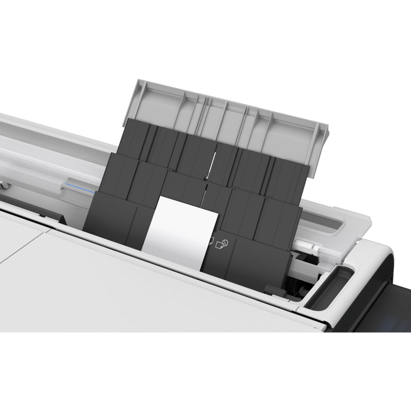 IPF TC-21