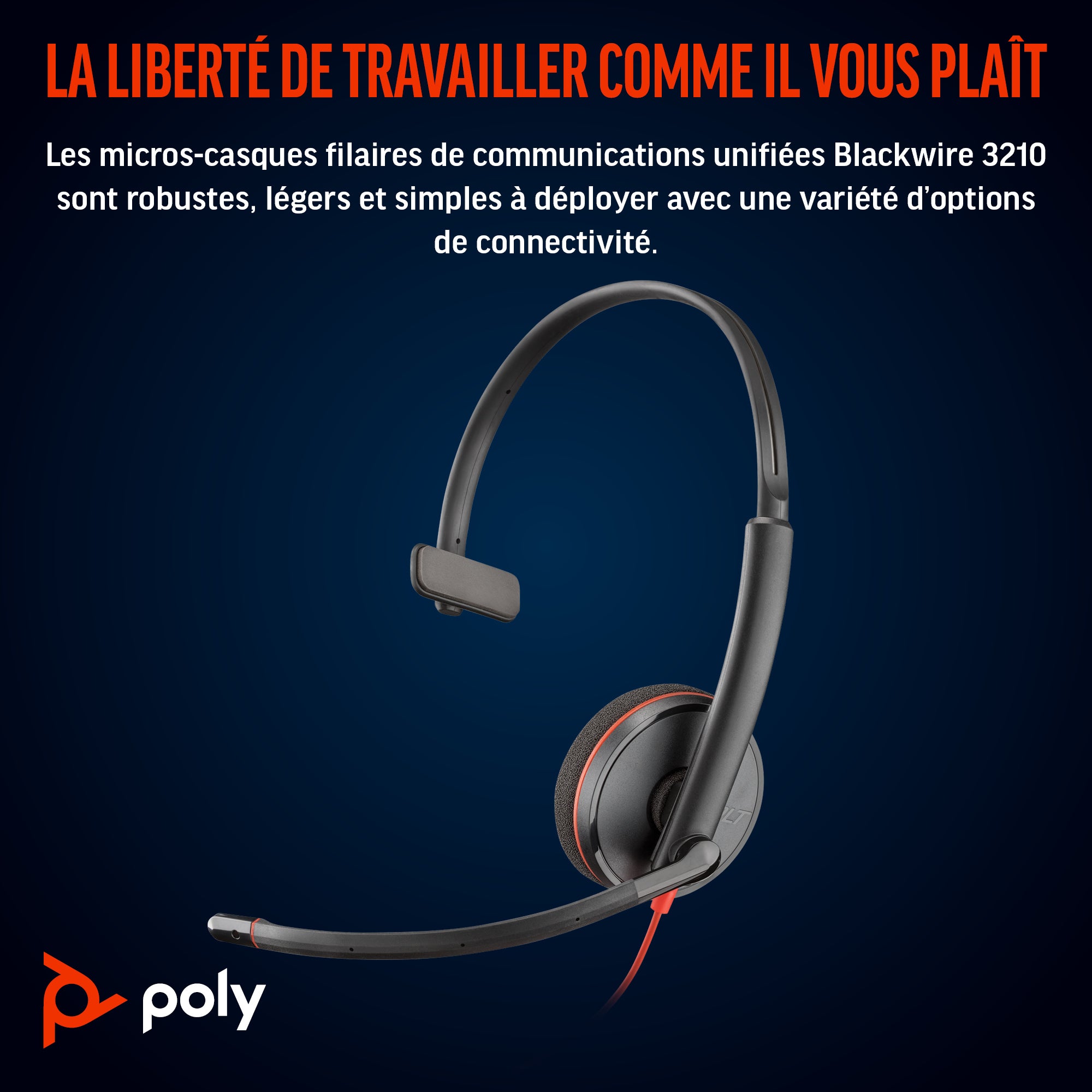 Poly BW 3210 USB-C HS+USB-C/A Bulk
