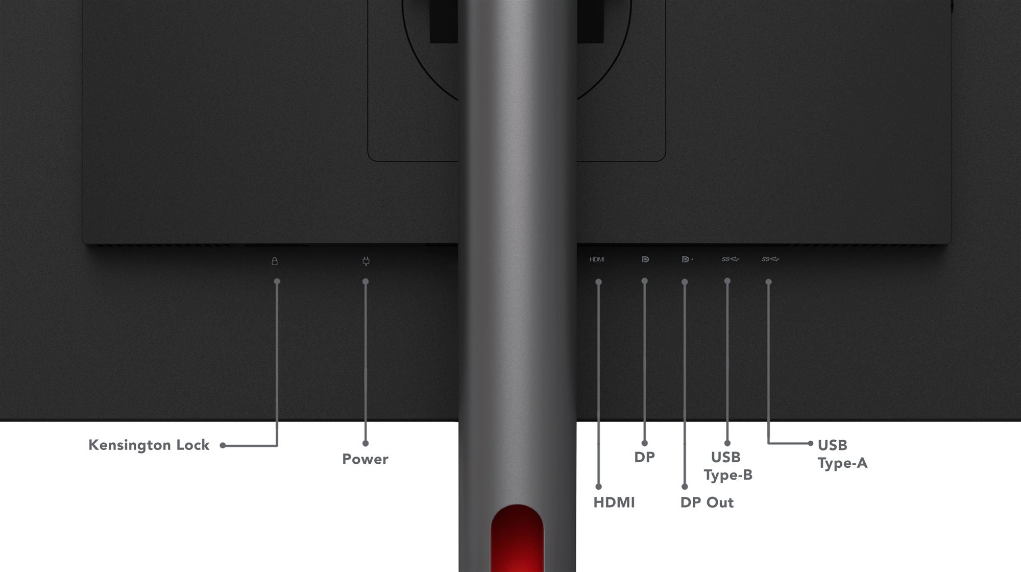 LENOVO ThinkVision -P27q-30 - 27p - 2560x1440 - IPS 16:9 350cd/m2 - HDMI - DisplayPort - USB Hub
