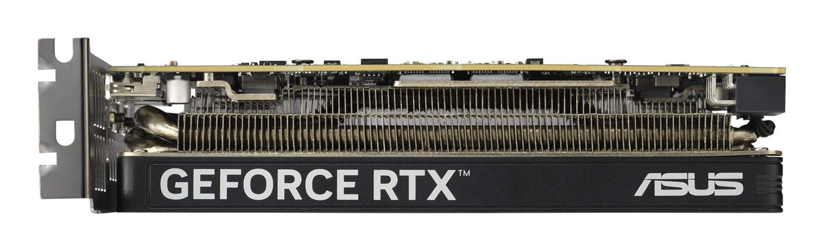 ASUS GeForce RTX 5060 OC 8Go LP BRK GDDR7 2xHDMI 1xDP