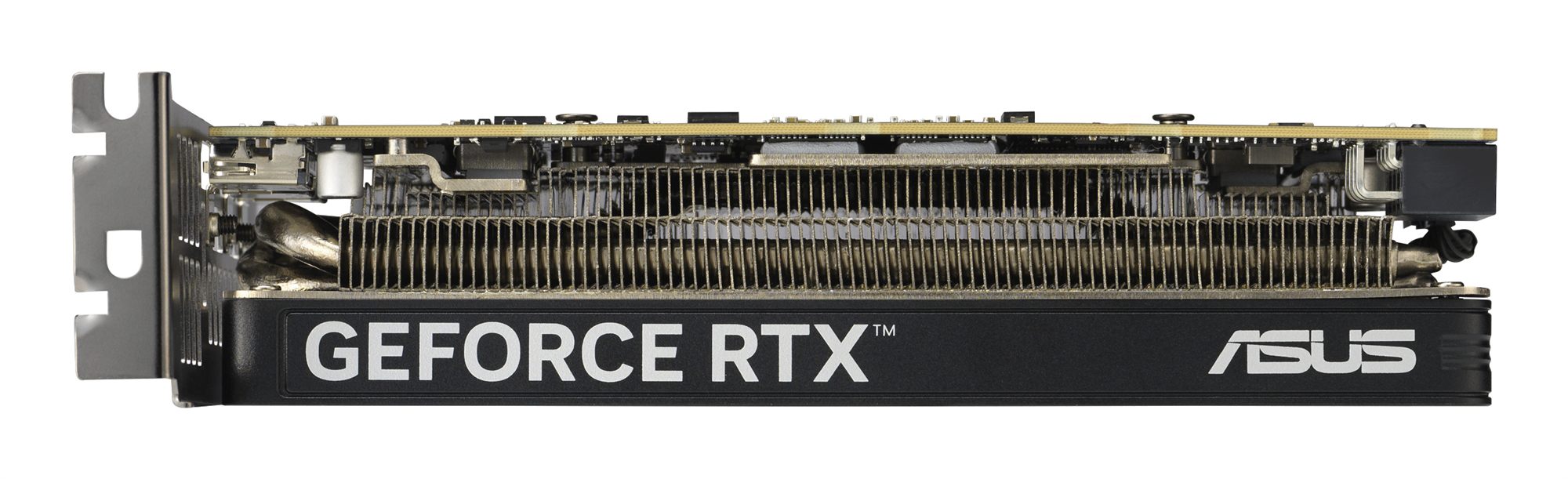 ASUS GeForce RTX 5060 OC 8Go LP BRK GDDR7 2xHDMI 1xDP