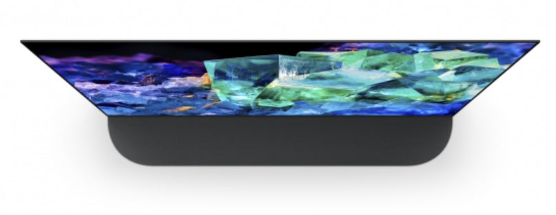 SONY- Téléviseur professionnel 55" avec caméra FWD-55A95K