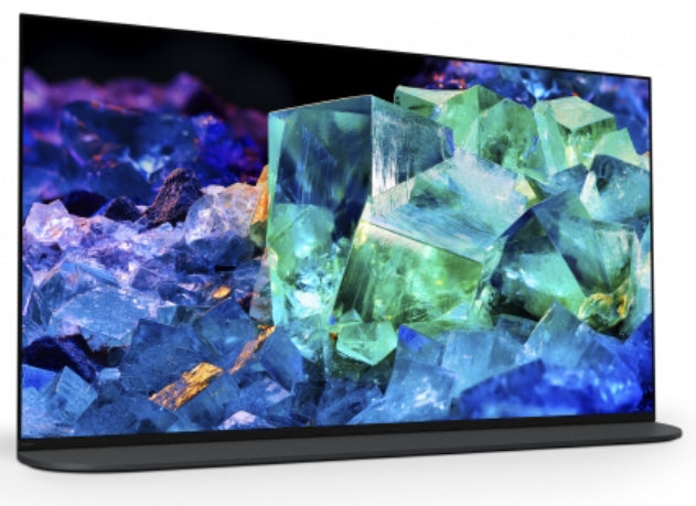SONY- Téléviseur professionnel 55" avec caméra FWD-55A95K