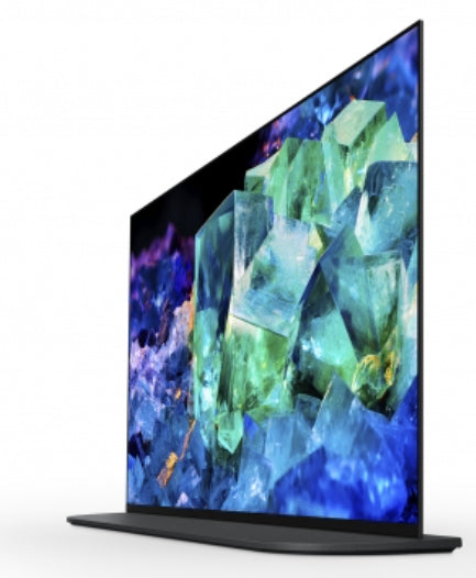 SONY- Téléviseur professionnel 55" avec caméra FWD-55A95K