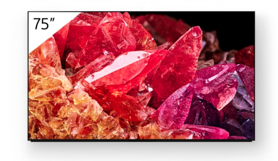 SONY- Téléviseur professionnel 75" FWD-75X95K