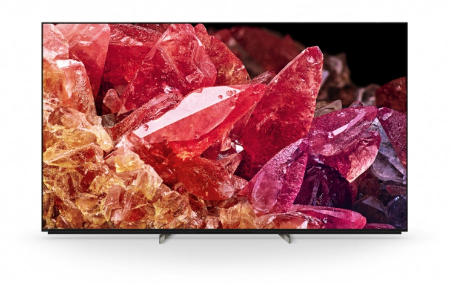 SONY- Téléviseur professionnel 65" FWD-65X95K