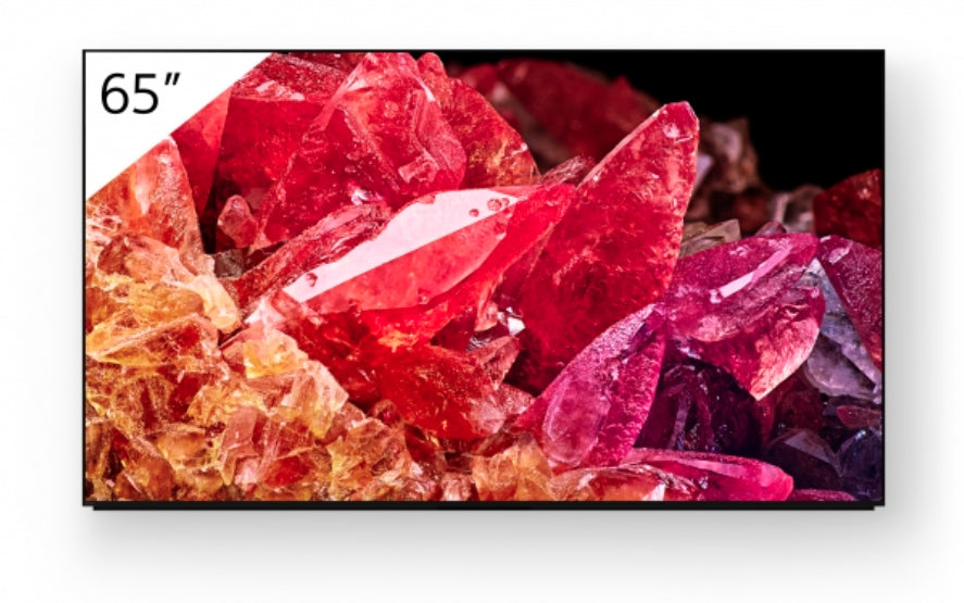 SONY- Téléviseur professionnel 65" FWD-65X95K