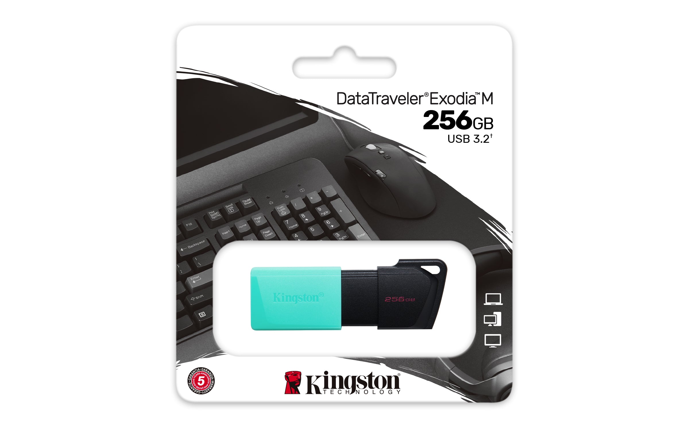 KINGSTON 256Go DataTraveler Exodia M