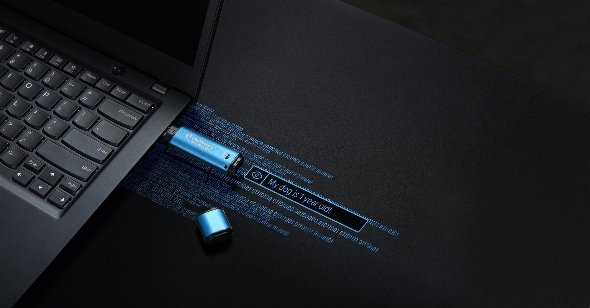 KINGSTON 256Go IronKey Vault Privacy 50 USB AES-256 Encrypted FIPS 197