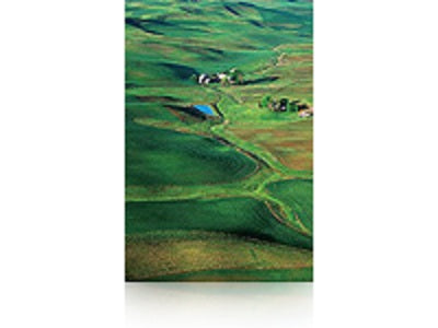 EPSON S042133 Premium semigloss photo  papier inkjet 250g/m2 1524mm x 30.5m 1 rouleau pack de 1
