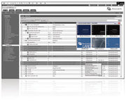 1Y-SILVER DSV 100PK ADD-ON LICENSE