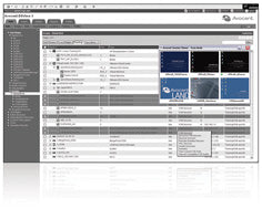 1Y-SILVER DSV 100PK ADD-ON LICENSE