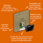 Ink/T128 EasyMail Fox CMYK