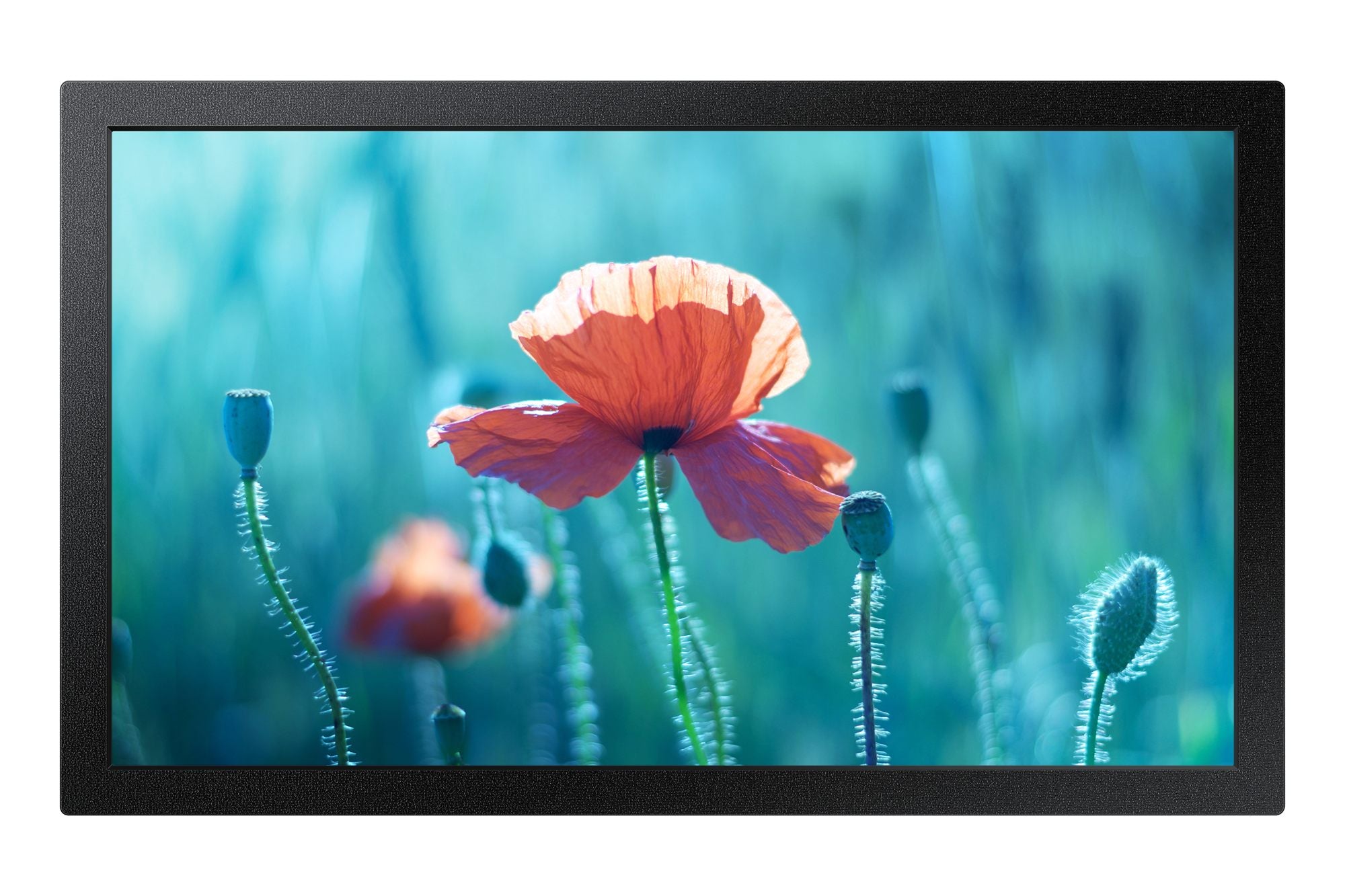 Samsung QB13-M