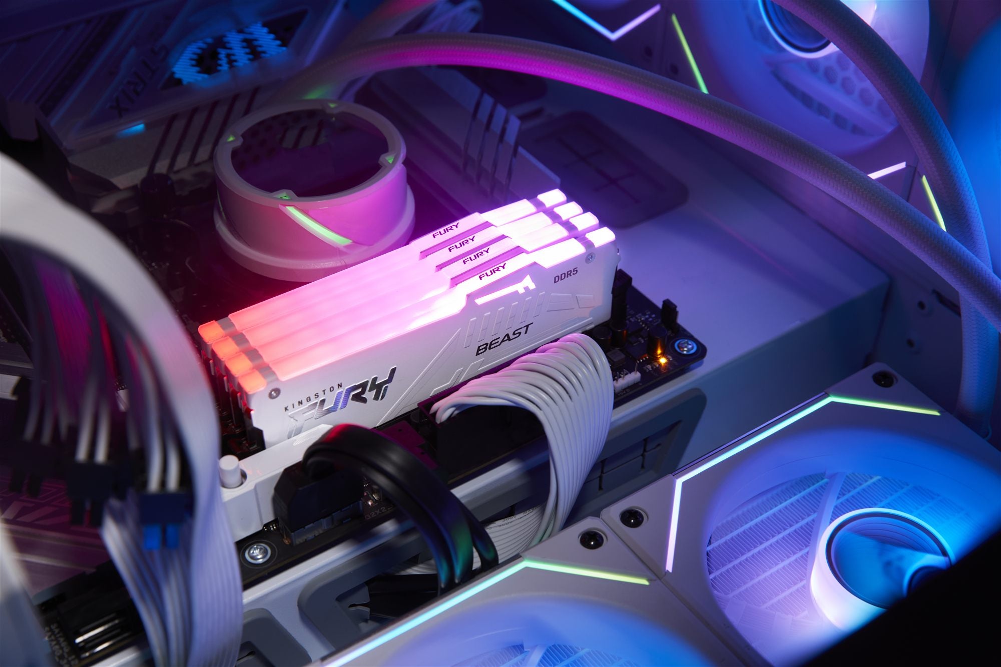 KINGSTON 16Go 6000MT/s DDR5 CL30 DIMM FURY Beast White RGB EXPO