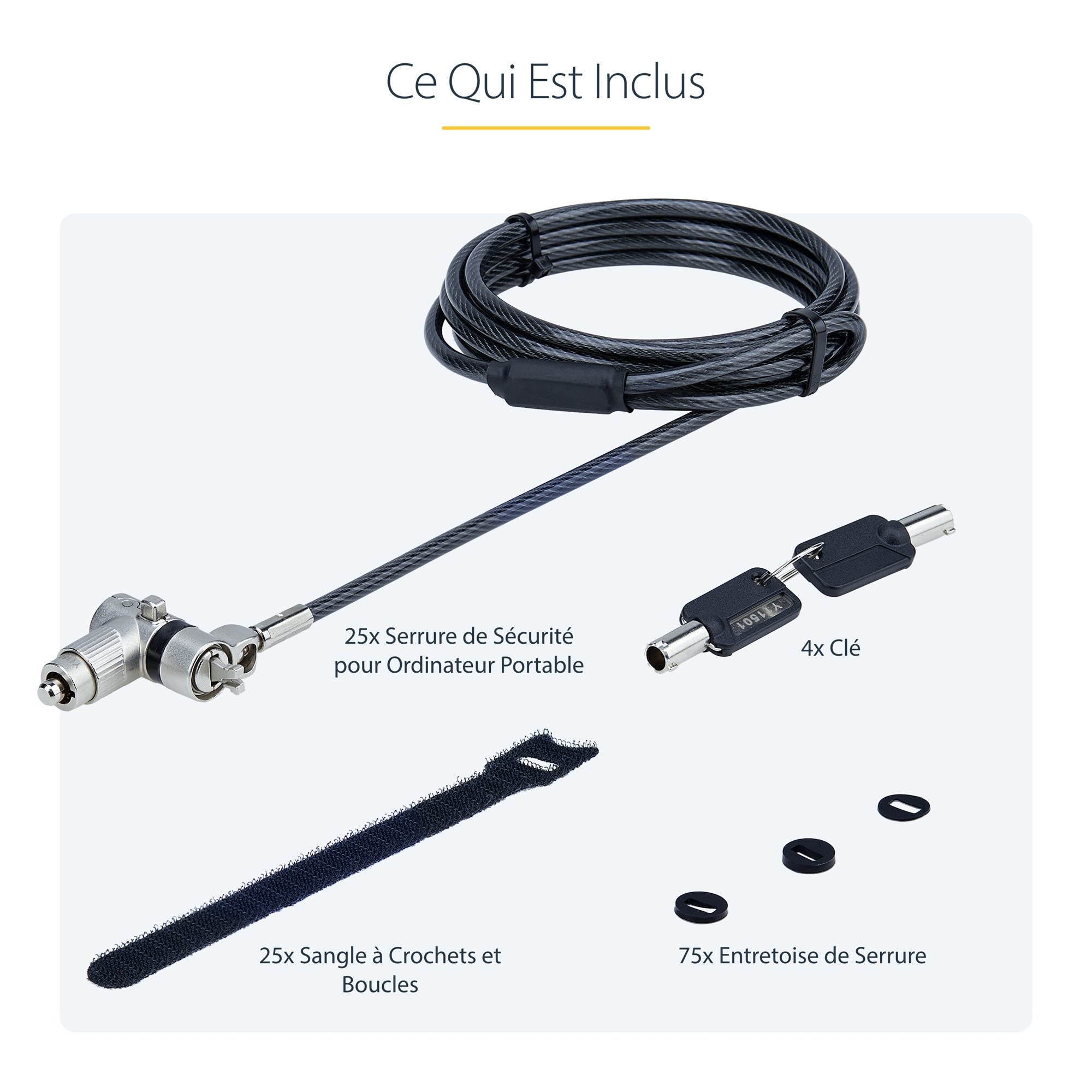 25-Pack Laptop Lock 6.6ft Cable