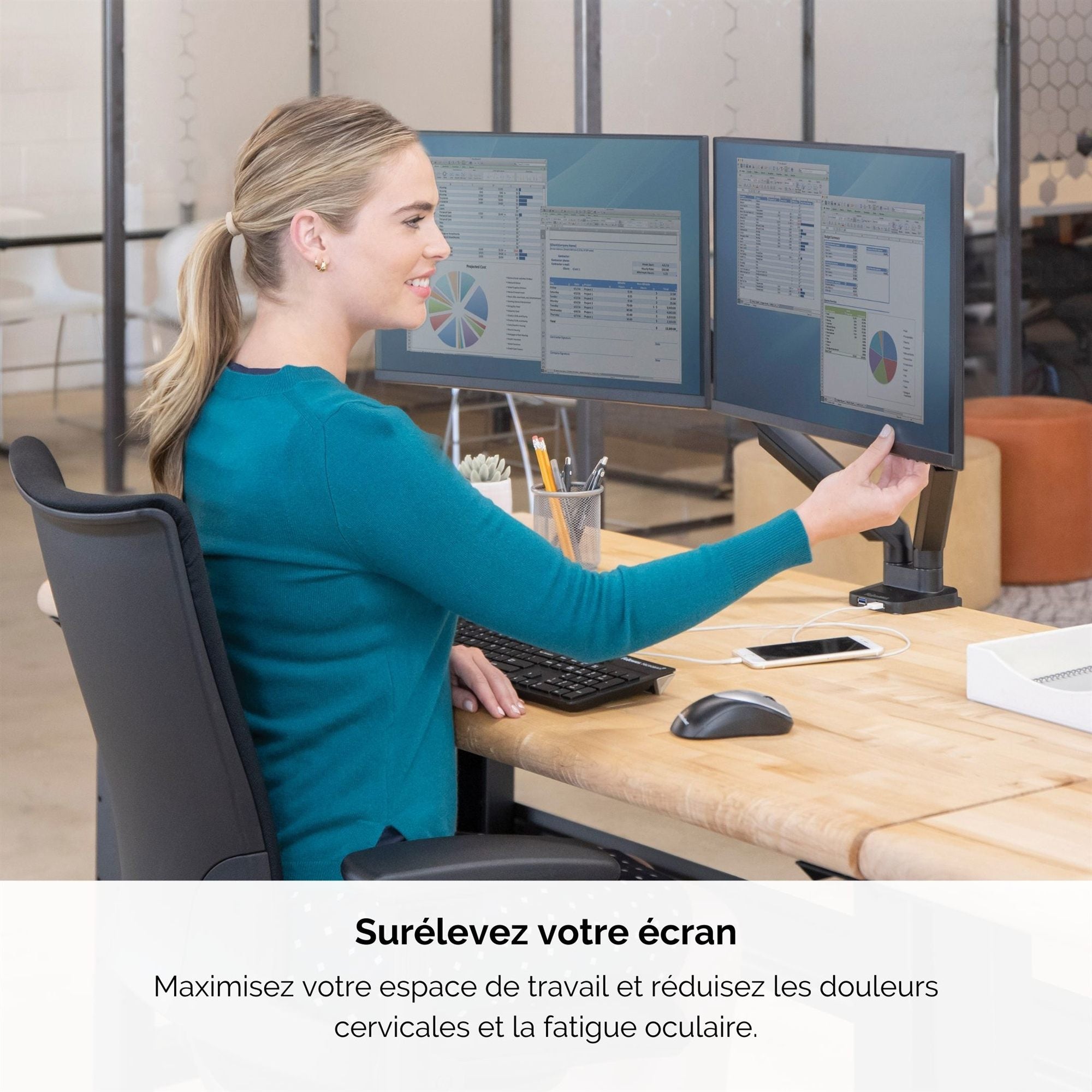 FELLOWES Bras porte écran double Platinium Série