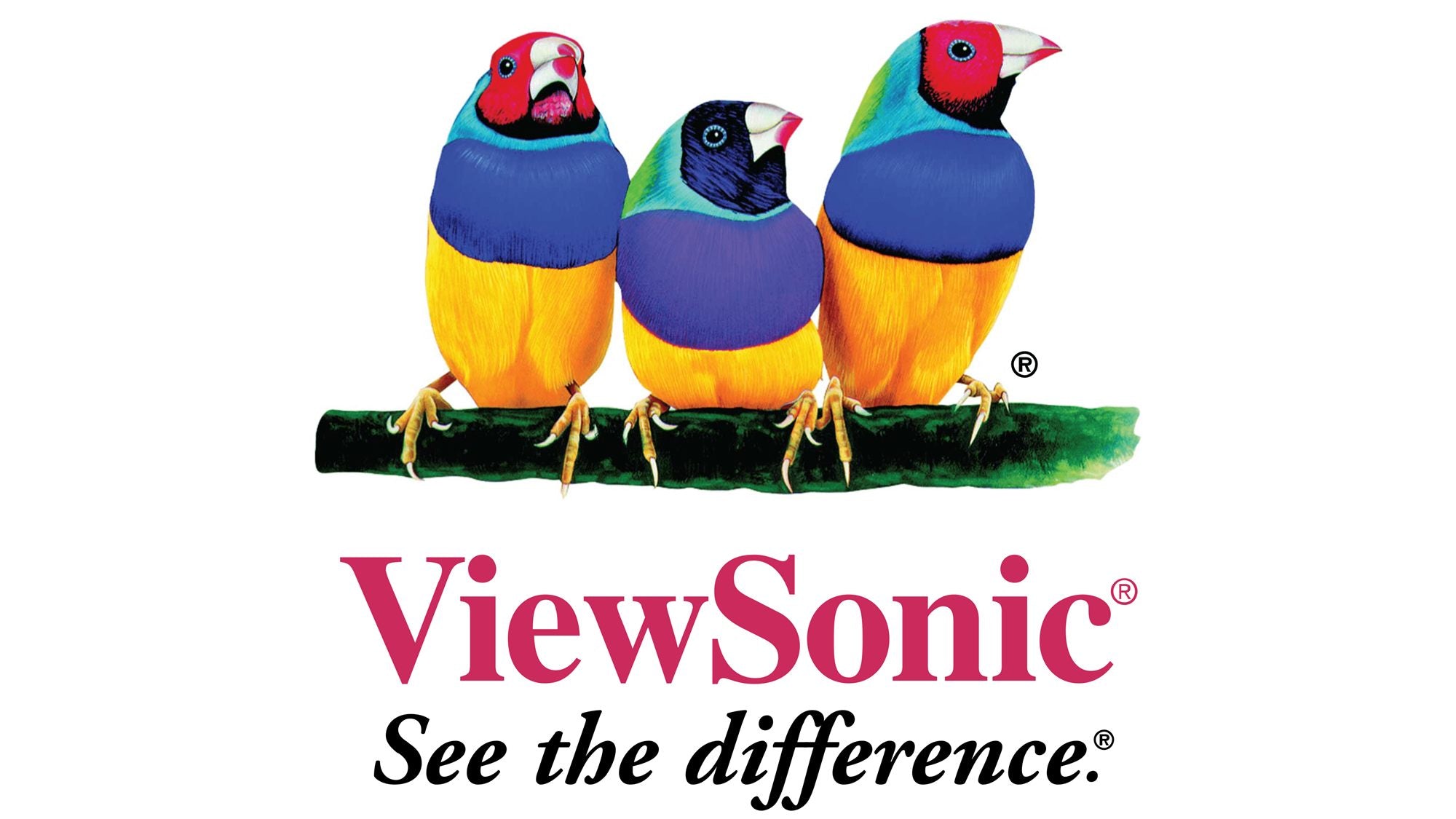 5 Years On-Site Service of 86" CD Series