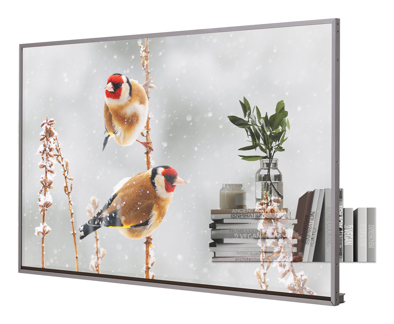 55EW5P-M/OLED 55'' transparent OpenFrame
