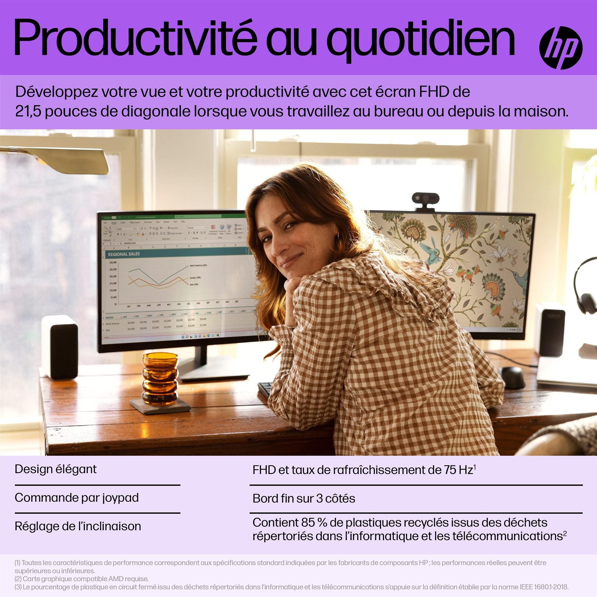 HP V22i G5 FHD Mon