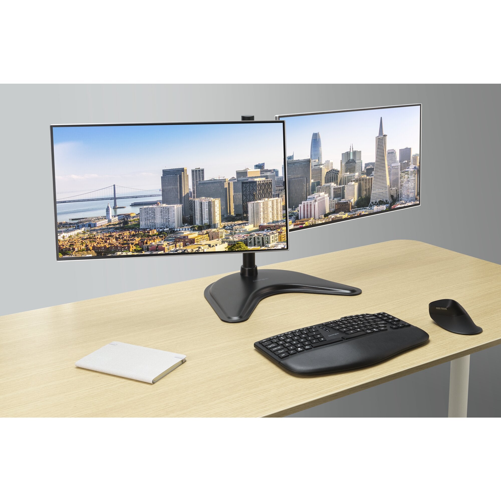 SmartFit Ergo Freestanding Dual Monitor