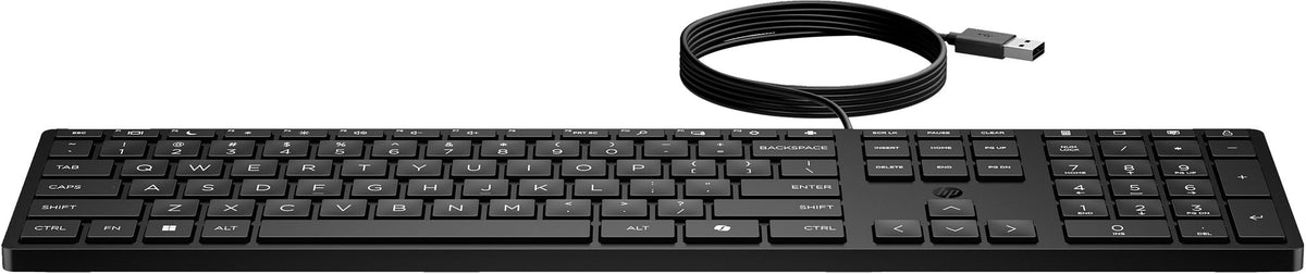 HP 320K Wired Keyboard SmartBuy (EN)