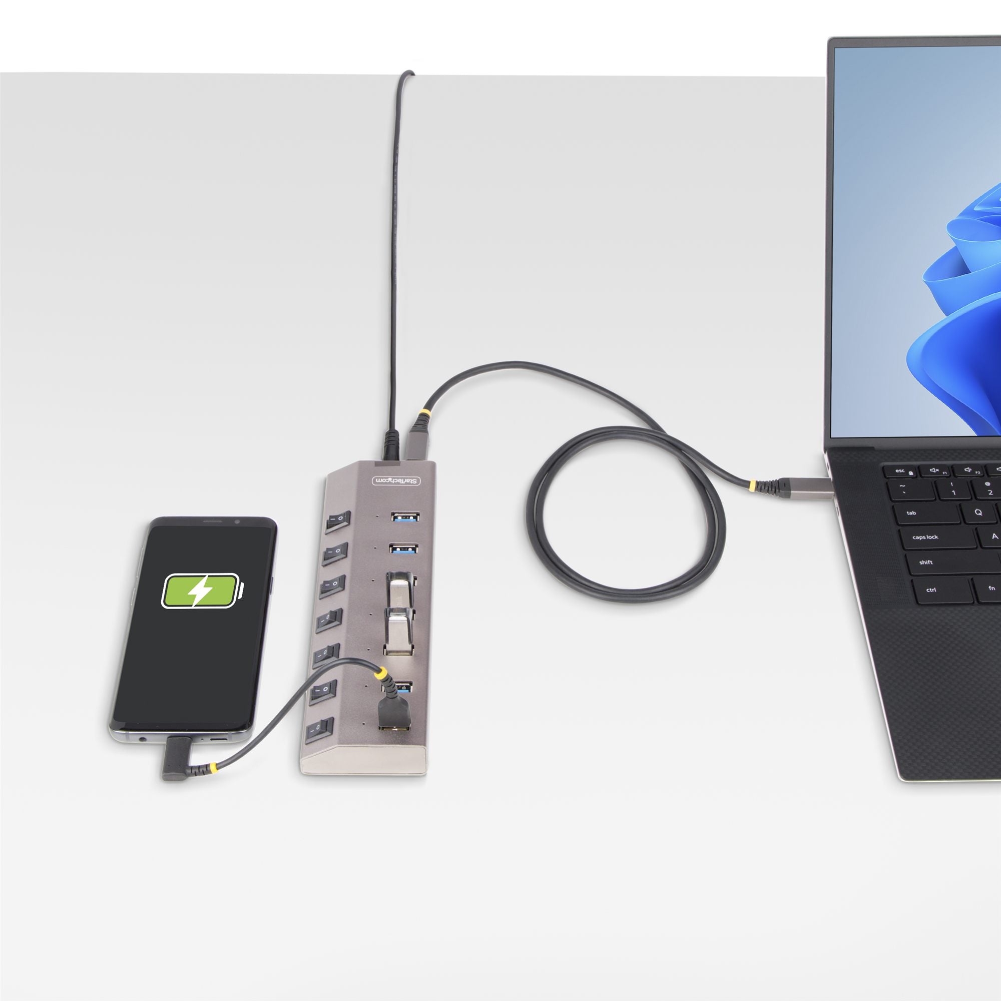 Startech 7-Port Self-Powered USB-C Hub