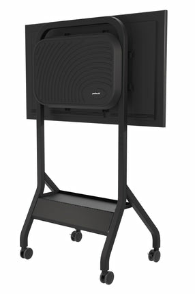 Flat Panel Trolley for 55" to 110"+Displ
