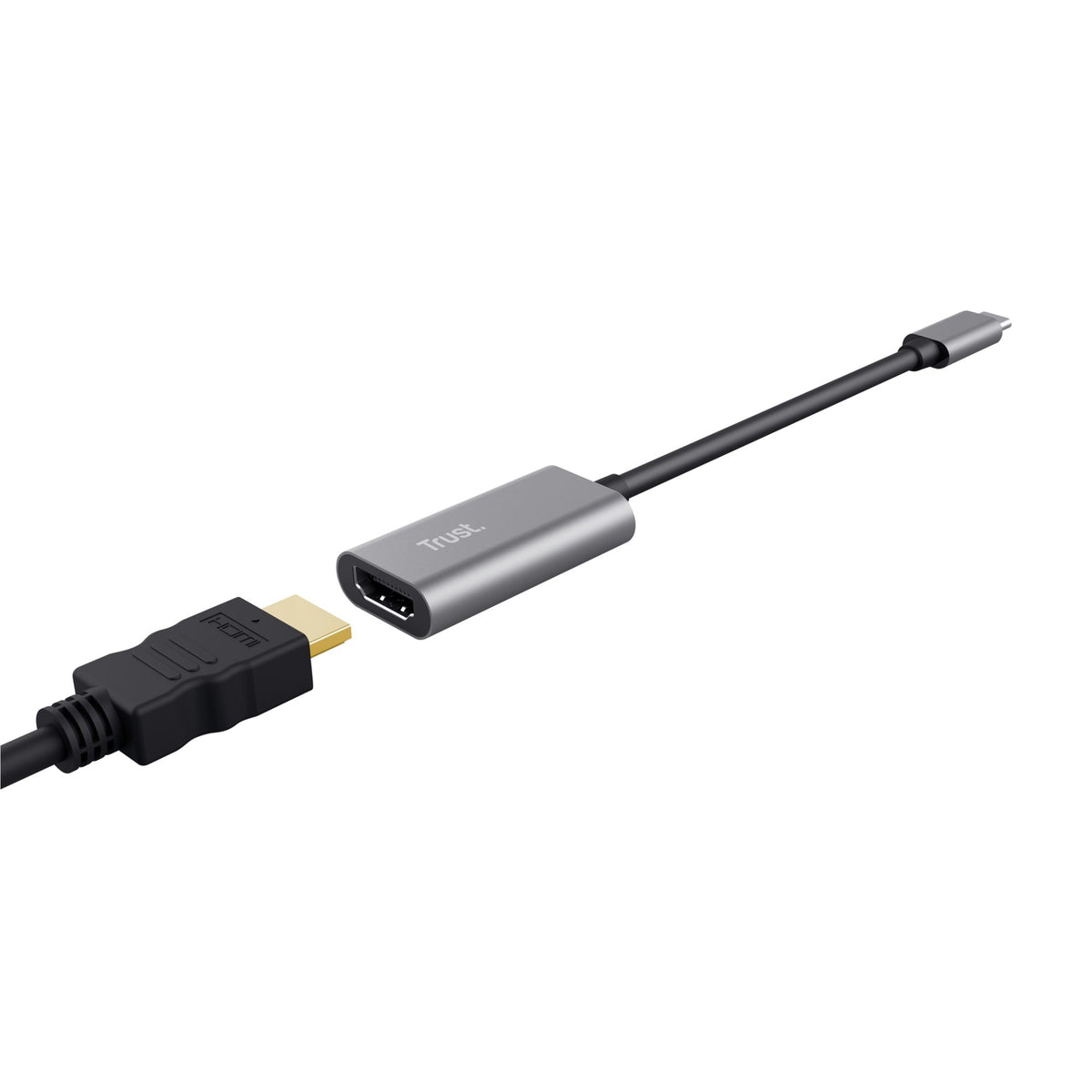 TRUST Adaptateur DALYX USB-C / HDMI