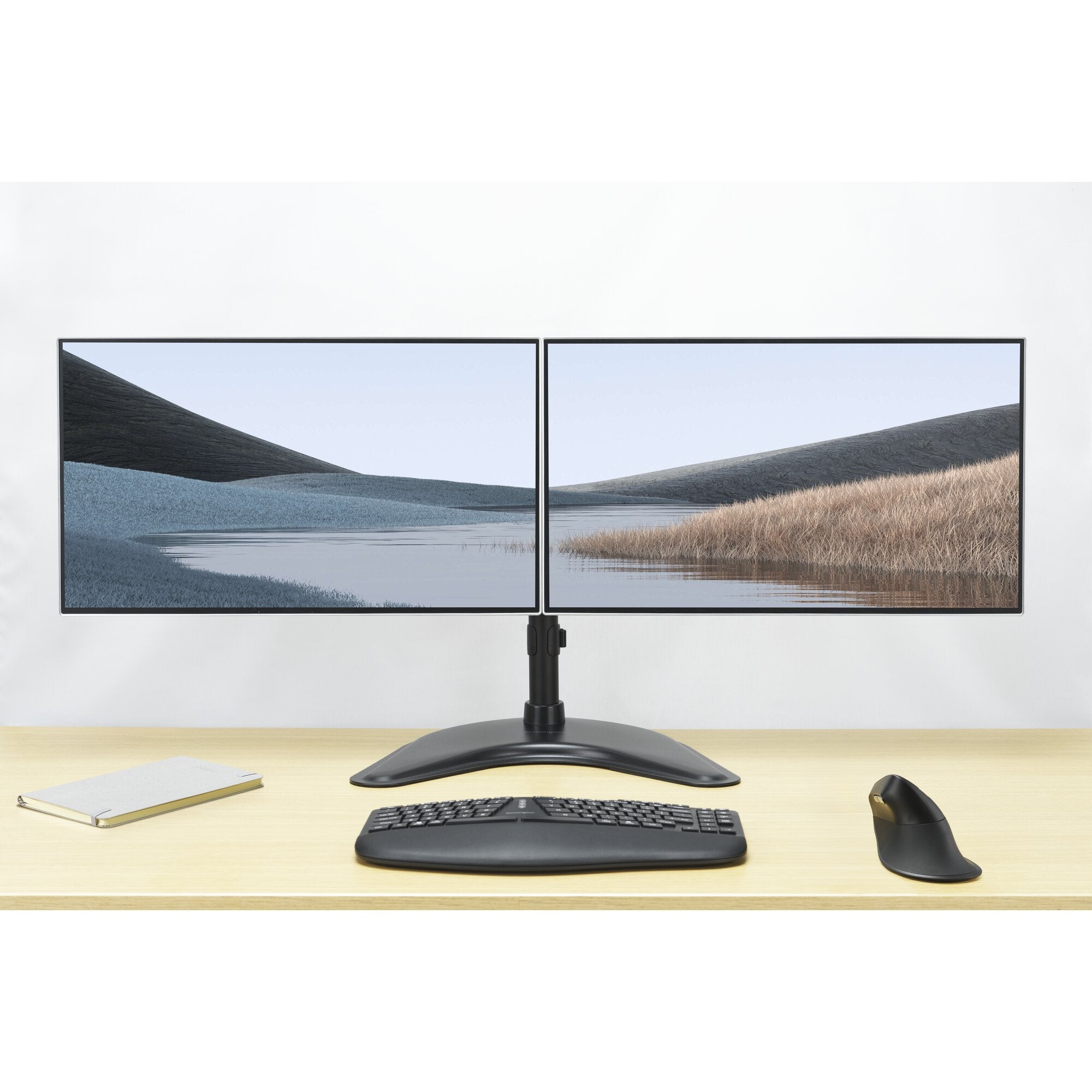 SmartFit Ergo Freestanding Dual Monitor